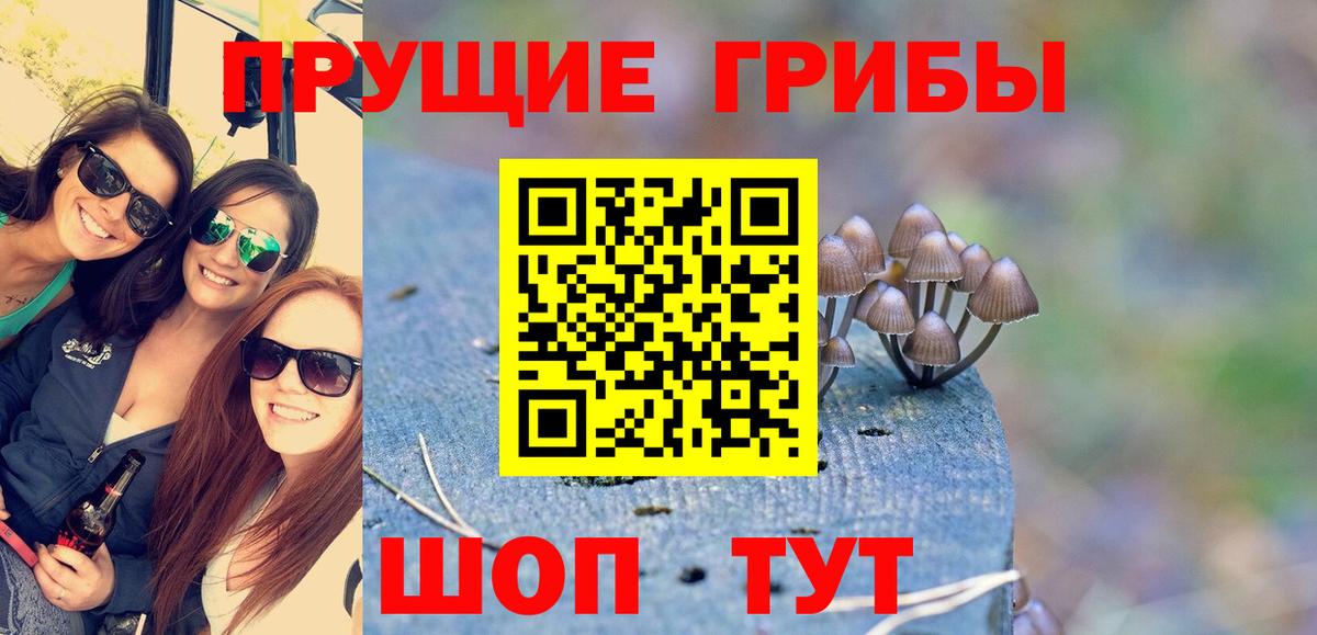 Псилоцибиновые грибы Cubensis  Галлюциногенные грибы Magic Shrooms  Заинск  Вход с VPN 